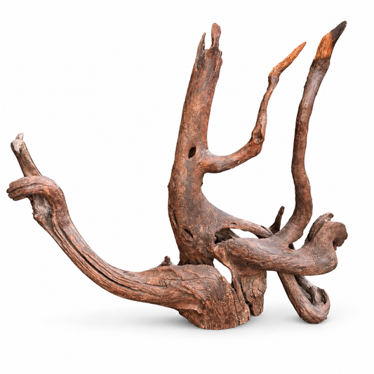 Driftwood "The Octopus"