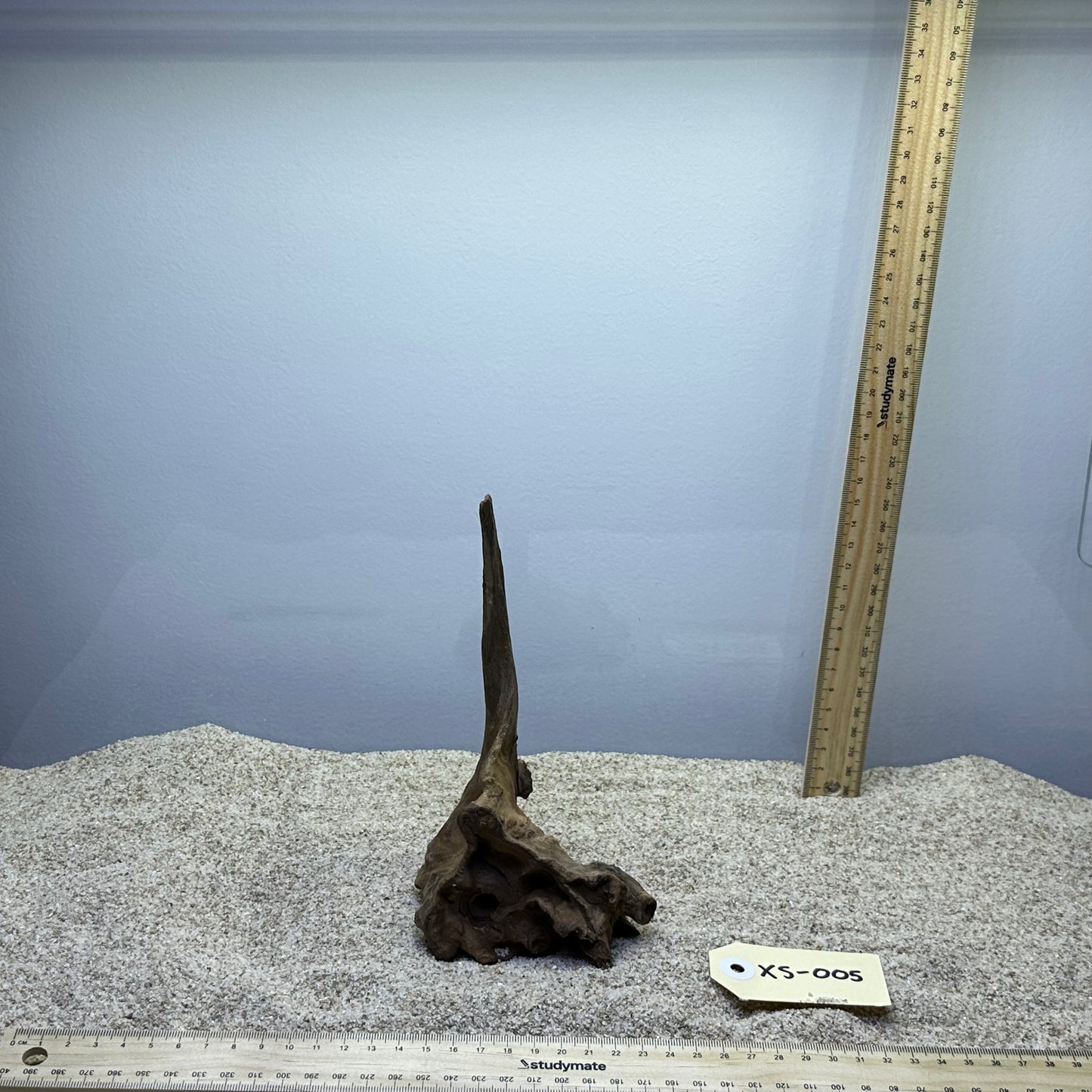 Driftwood (X Small)