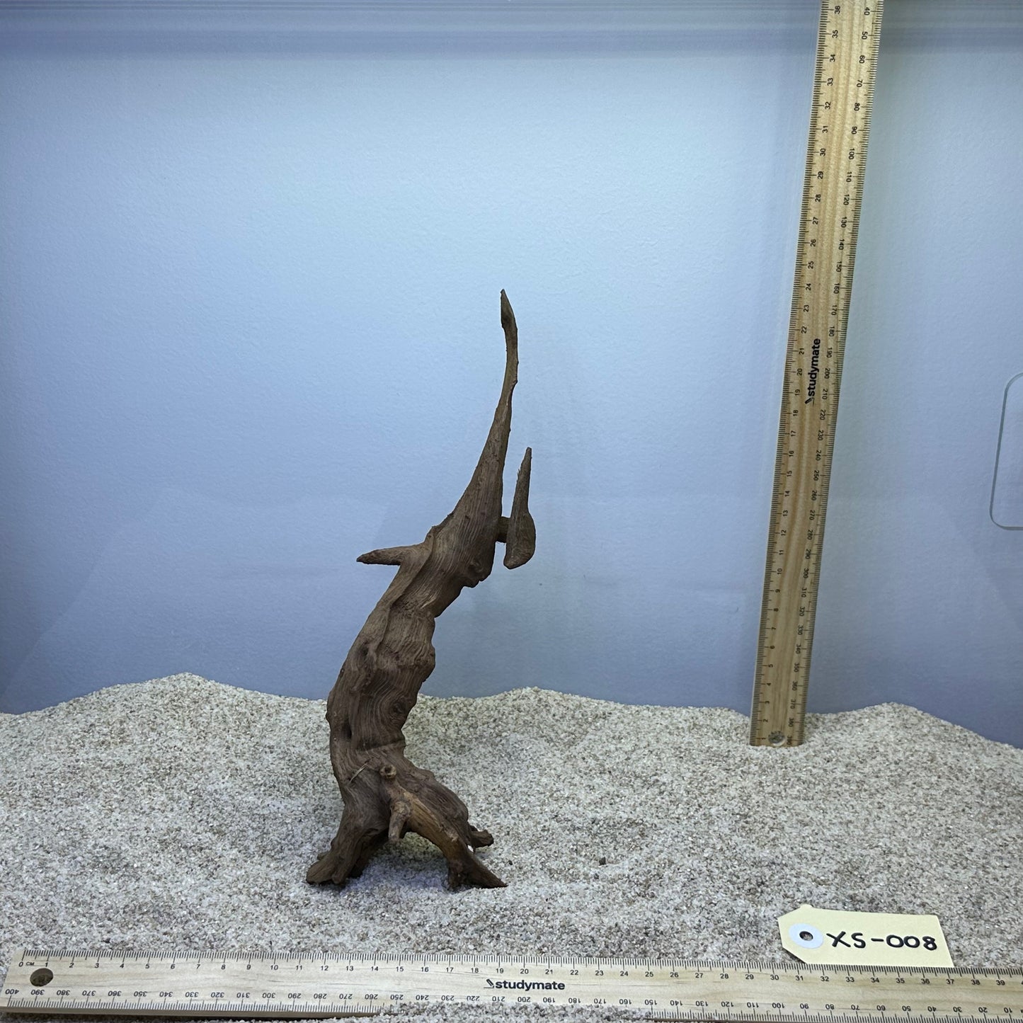 Driftwood (X Small)