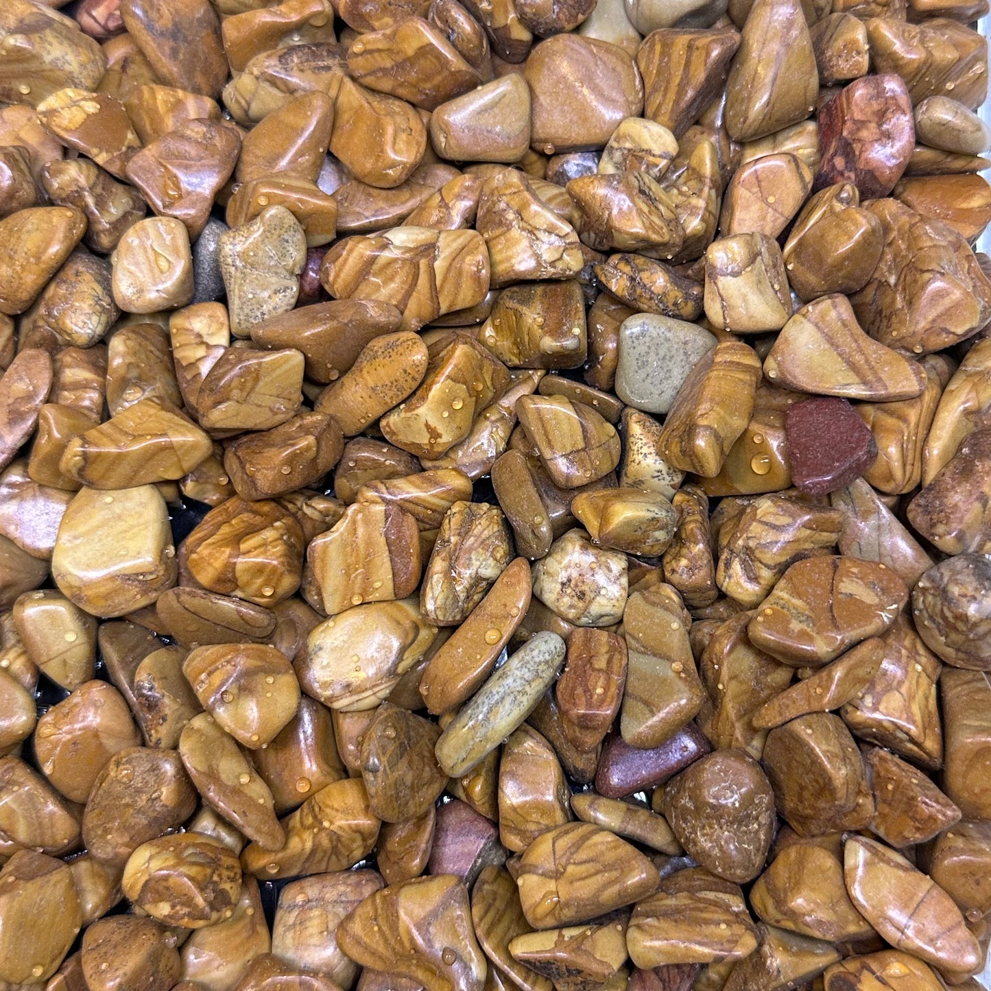 Pebbles Orange (Small)