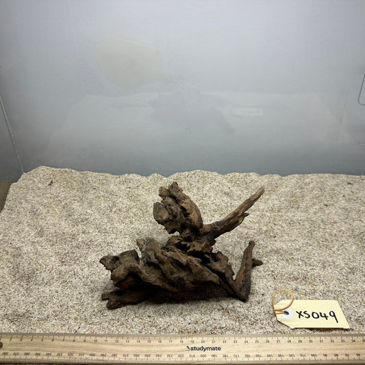Driftwood (X Small)