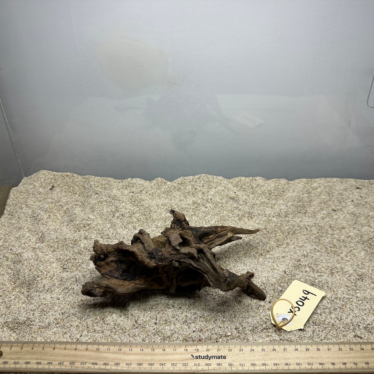 Driftwood (X Small)