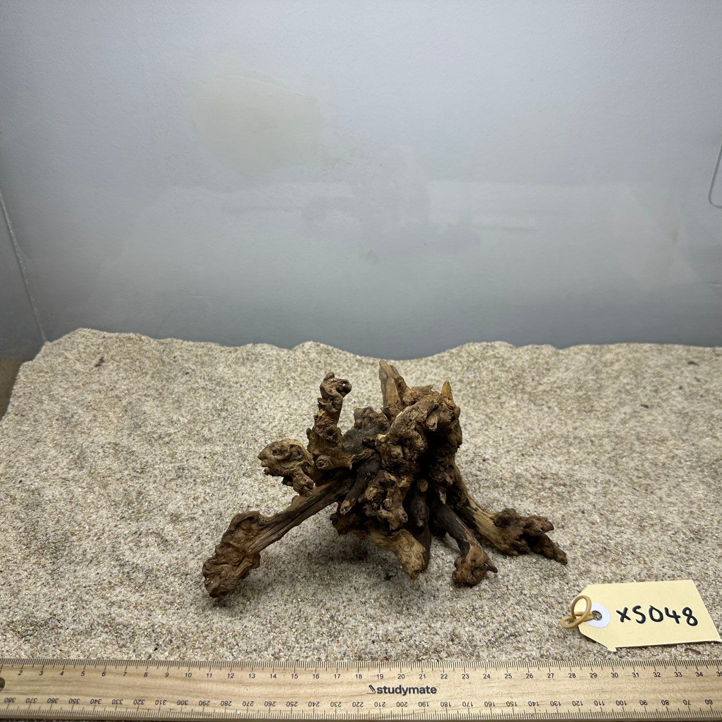 Driftwood (X Small)
