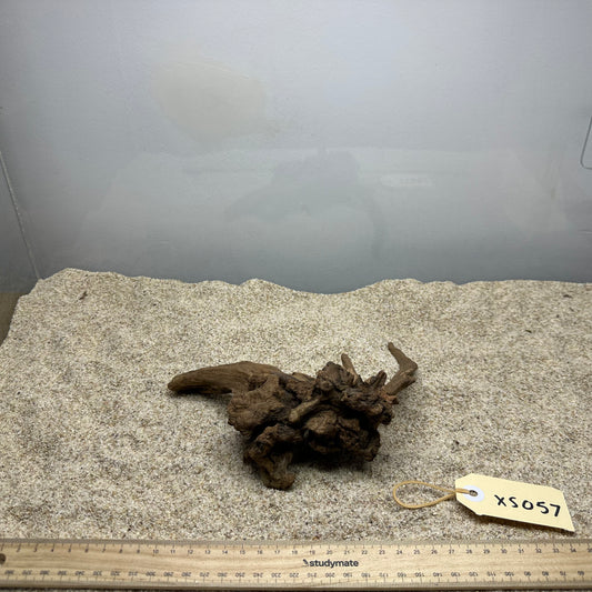Driftwood (X Small)
