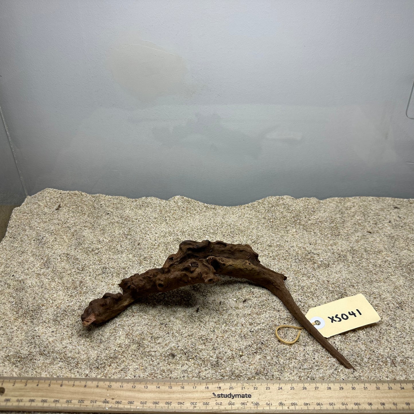 Driftwood (X Small)