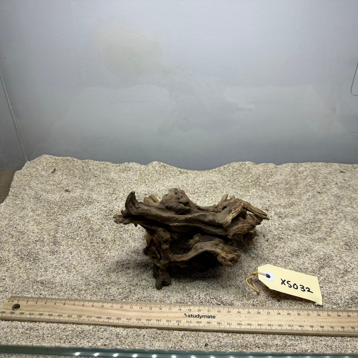 Driftwood (X Small)