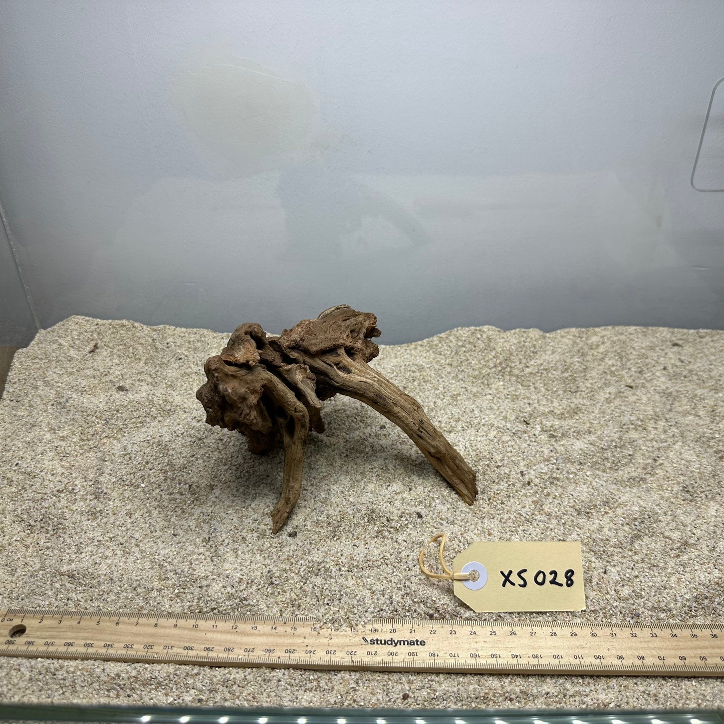 Driftwood (X Small)