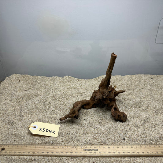Driftwood (X Small)