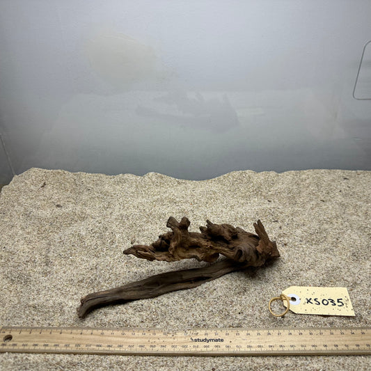 Driftwood (X Small)