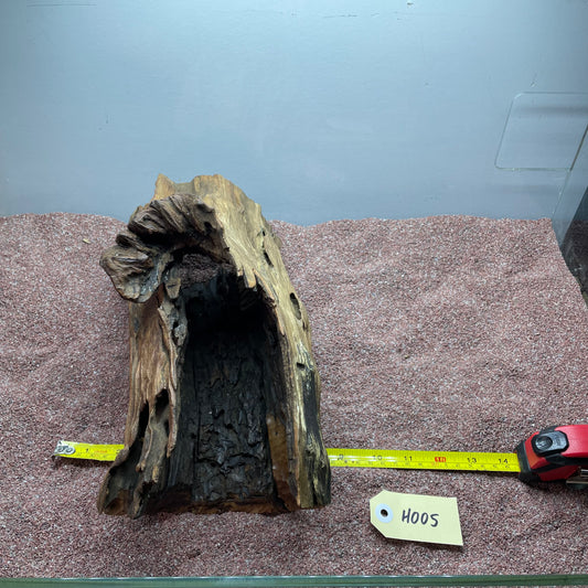 Hollow Cave Wood