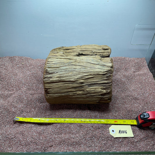 Hollow Cave Wood