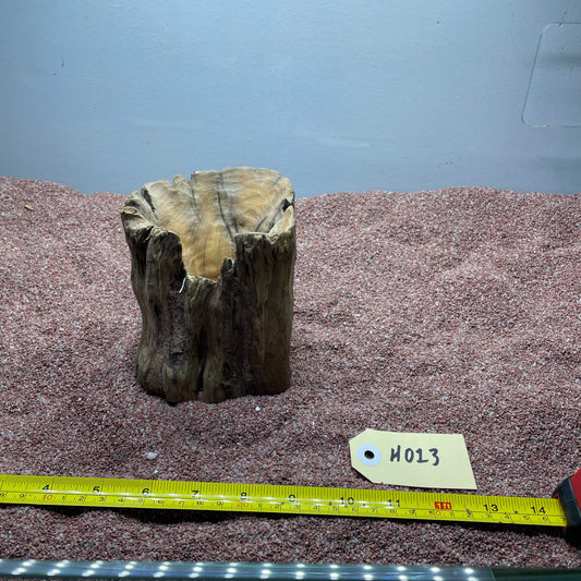 Hollow Cave Wood