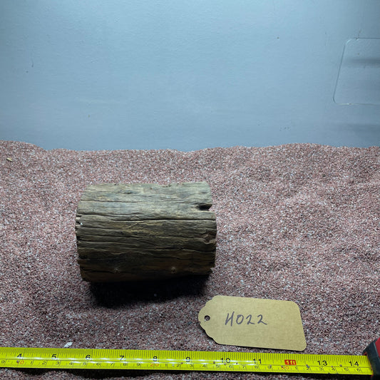 Hollow Cave Wood
