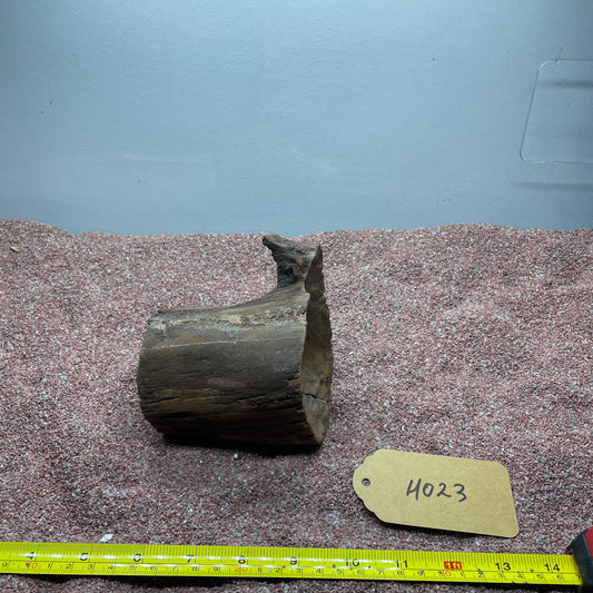 Hollow Cave Wood
