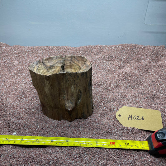 Hollow Cave Wood