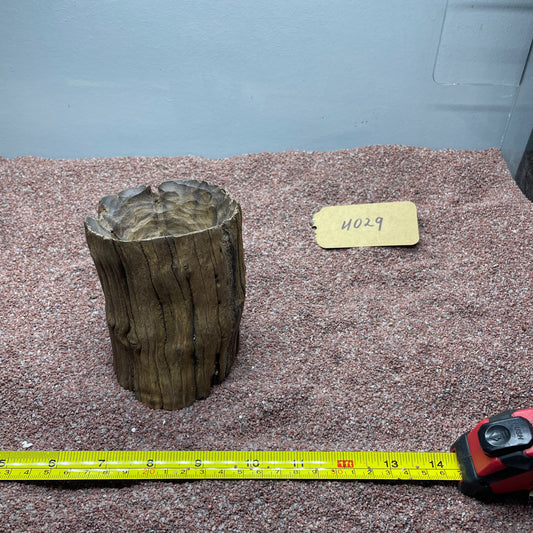 Hollow Cave Wood