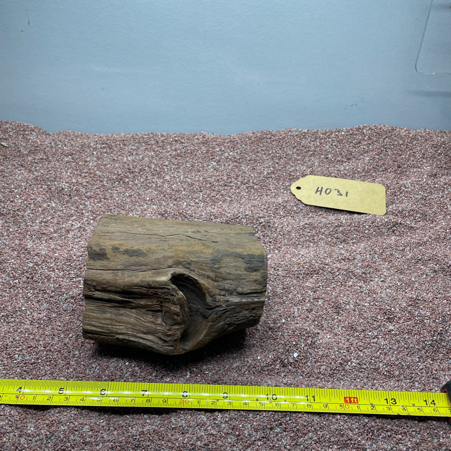 Hollow Cave Wood