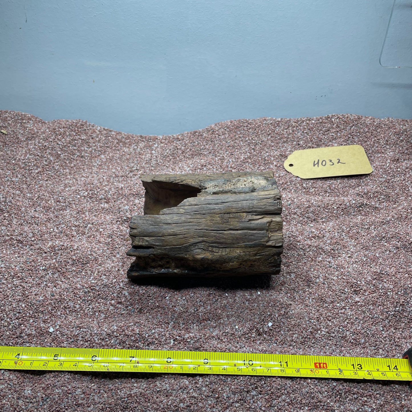 Hollow Cave Wood