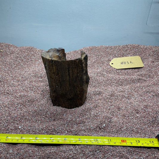 Hollow Cave Wood