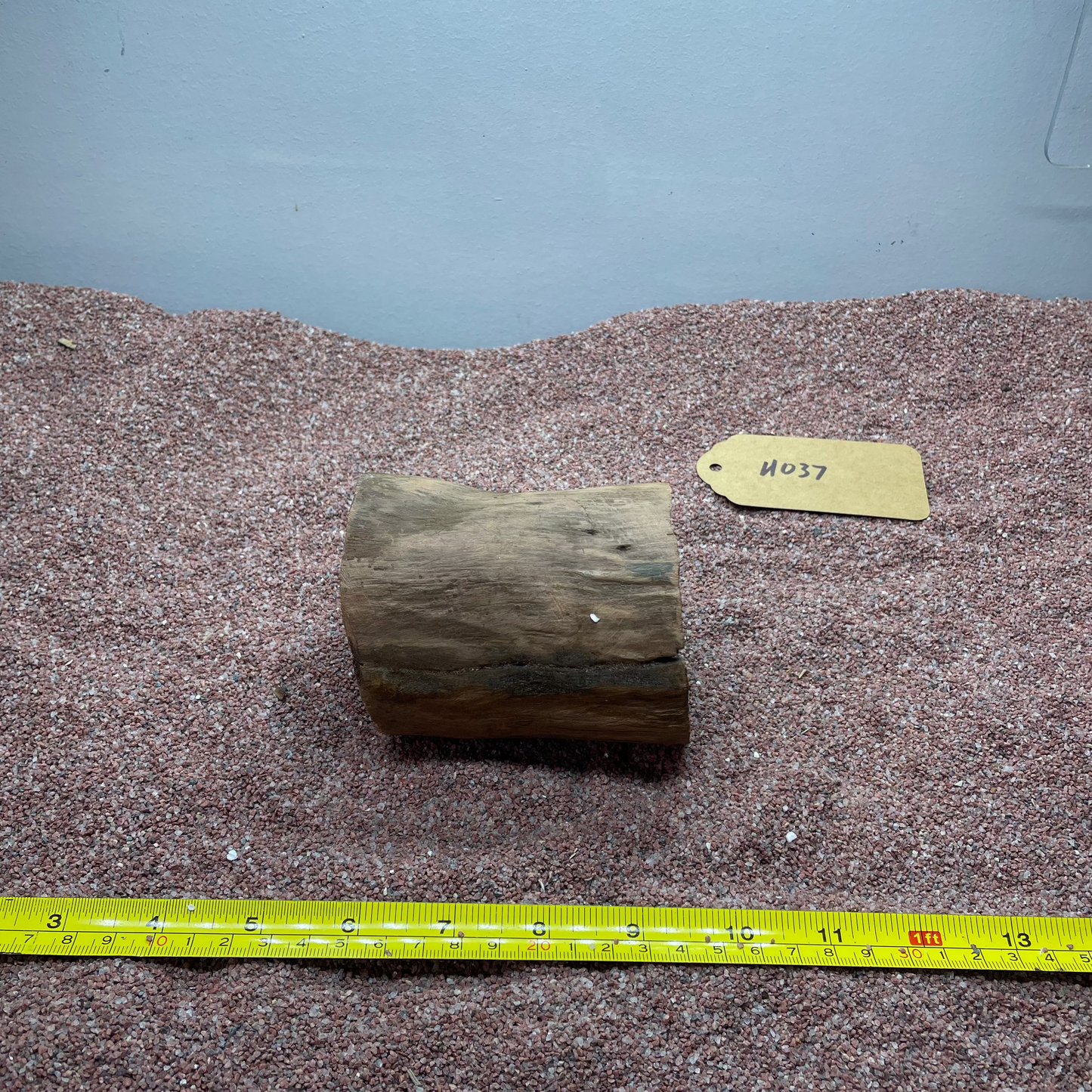 Hollow Cave Wood