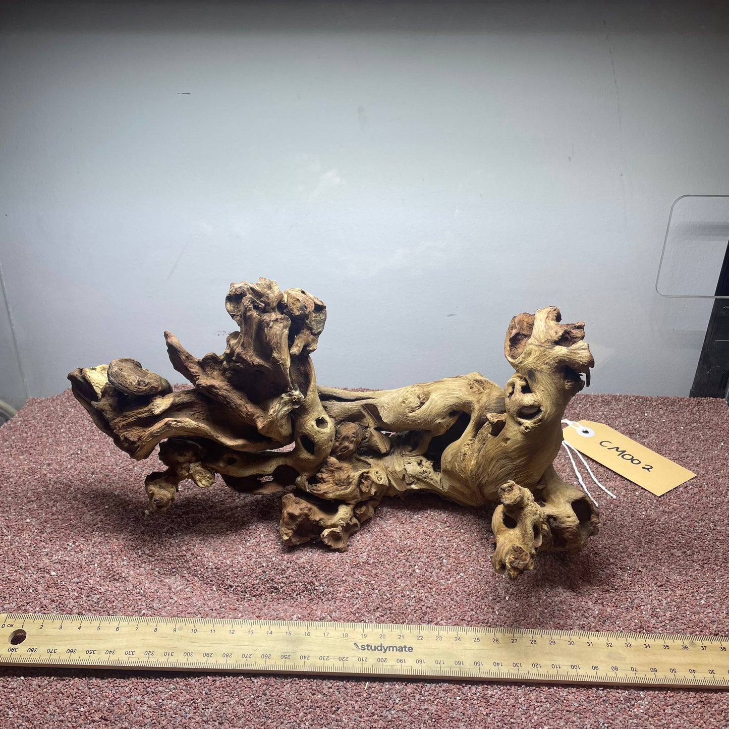 Coral Wood (Medium)