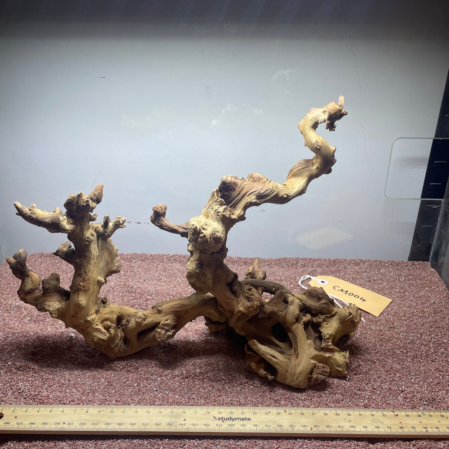 Coral Wood (Medium)