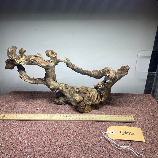 Coral Wood (Medium)