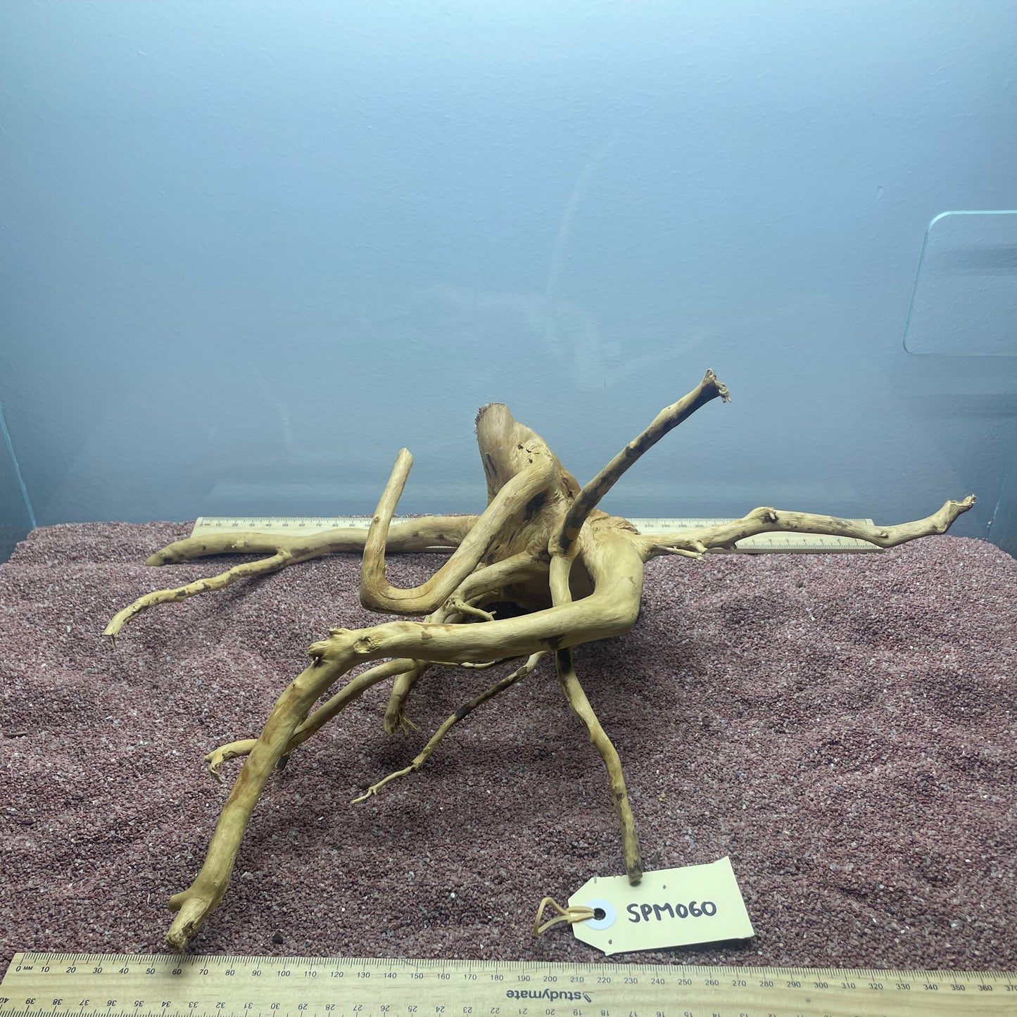 Spiderwood (Medium)