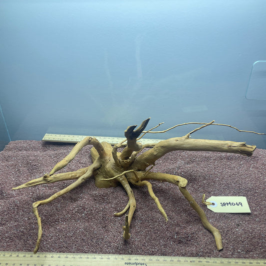 Spiderwood (Medium)