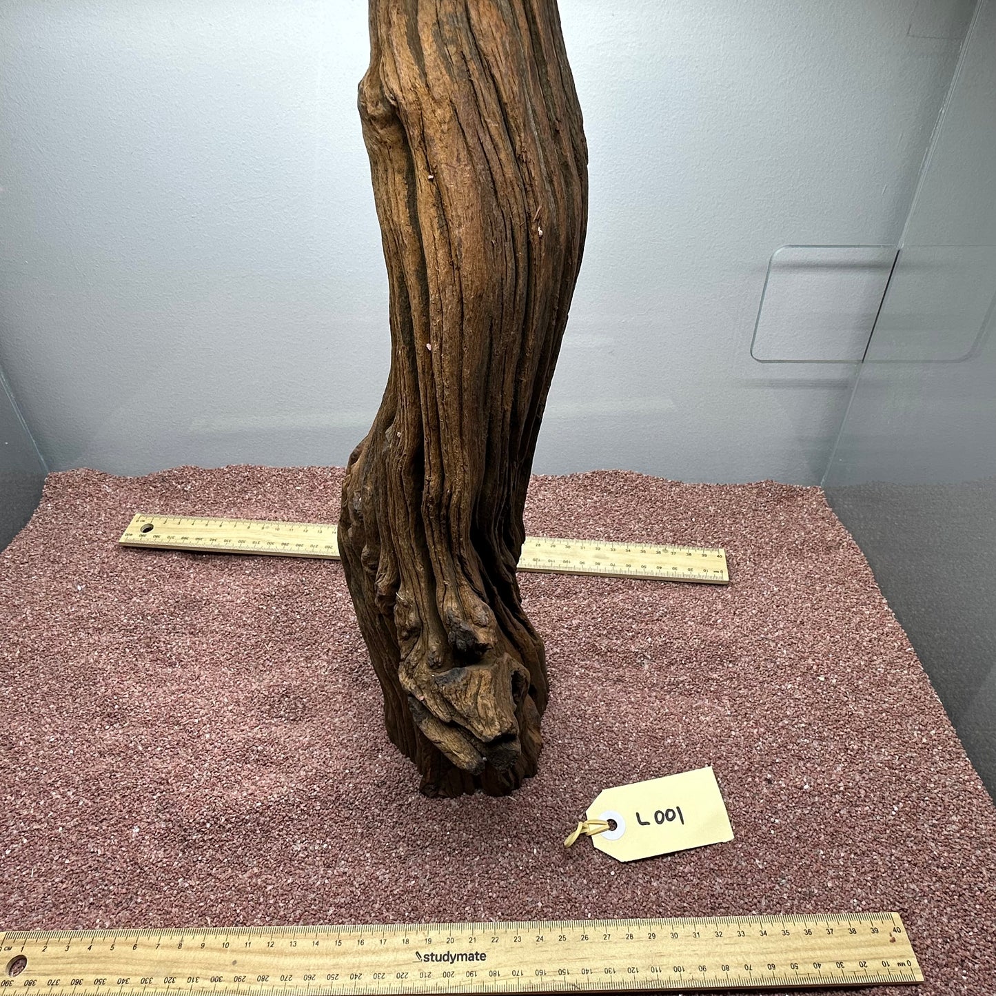 Driftwood (Large)