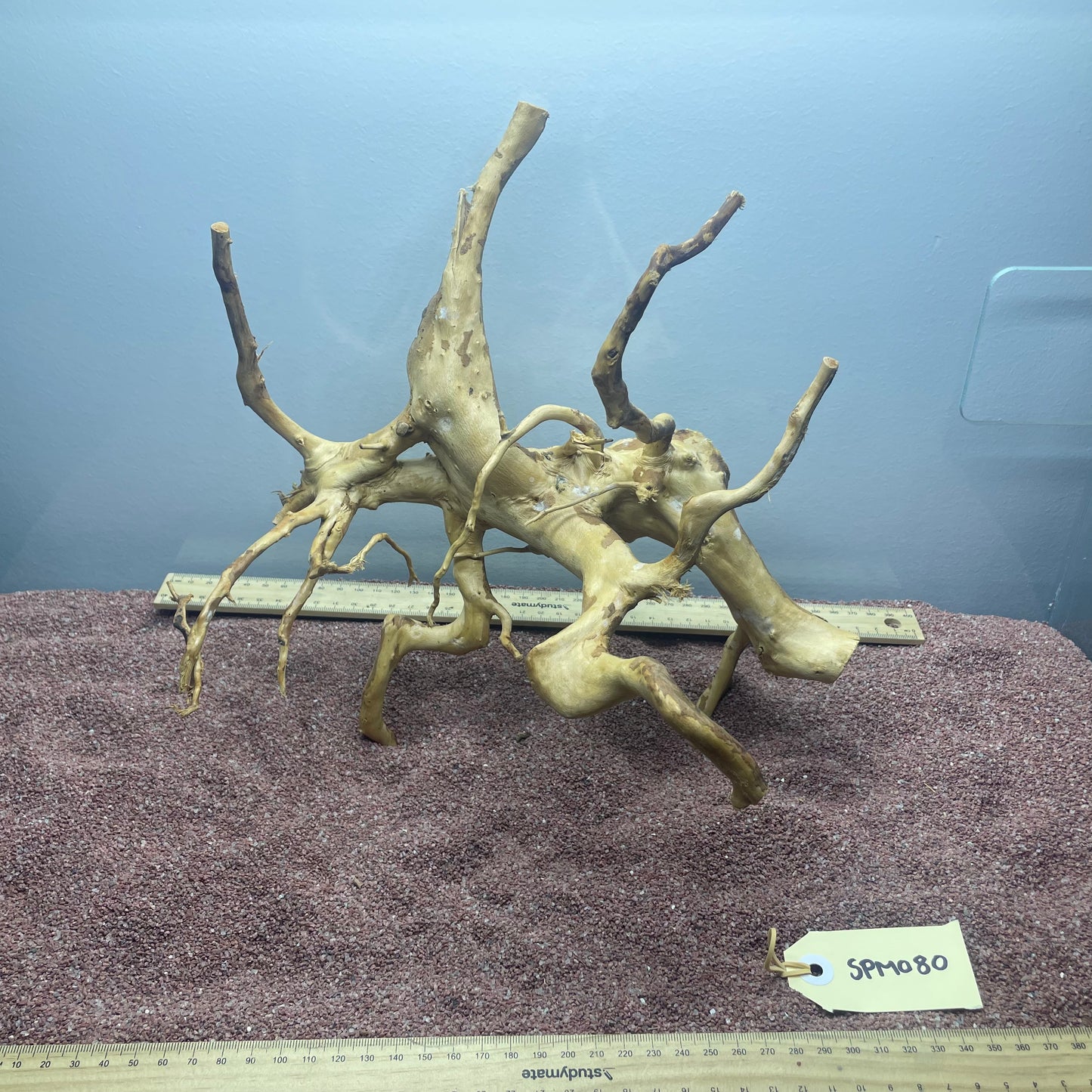Spiderwood (Medium)