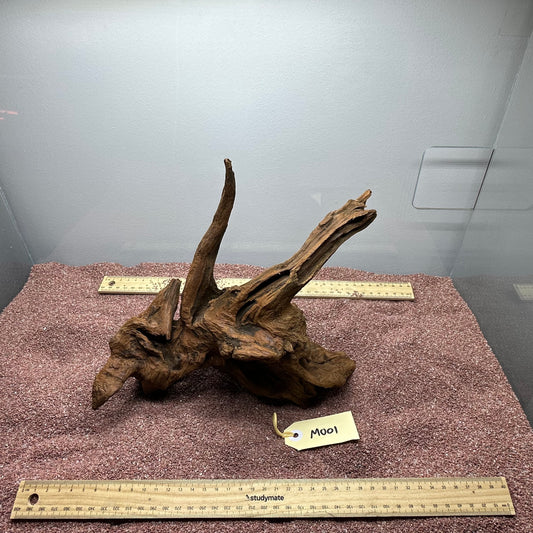 Driftwood (Medium)