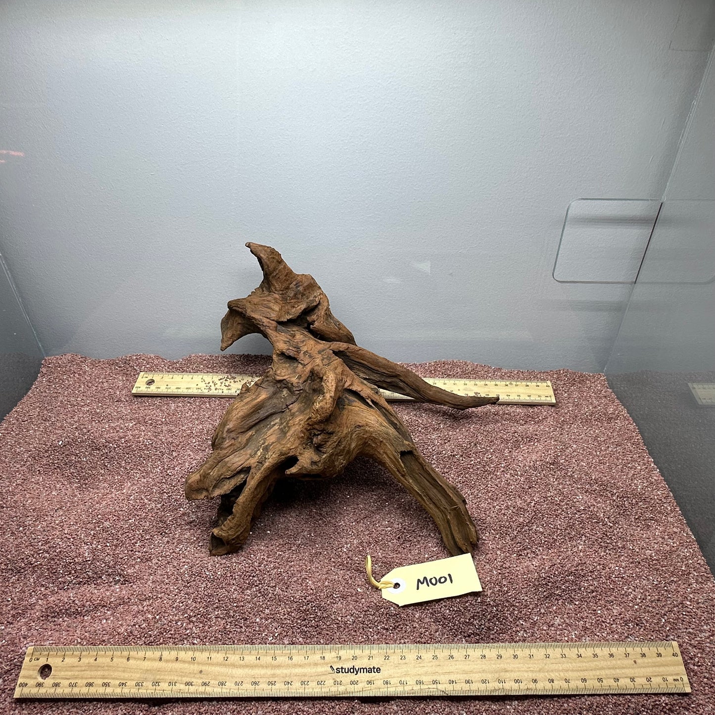 Driftwood (Medium)