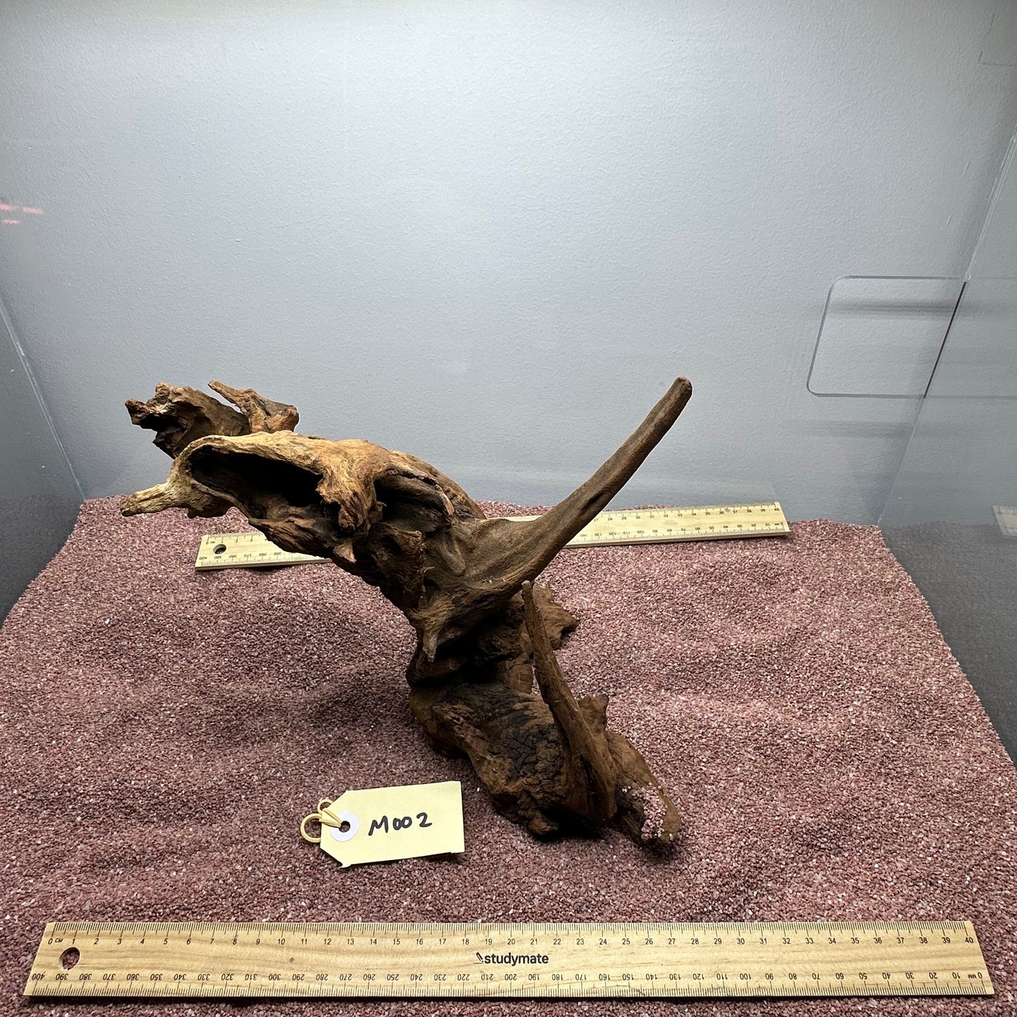 Driftwood (Medium)