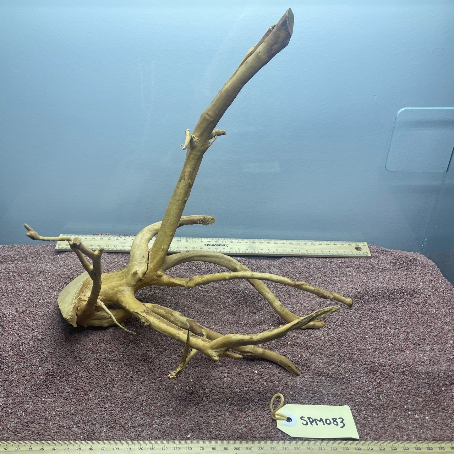 Spiderwood (Medium)