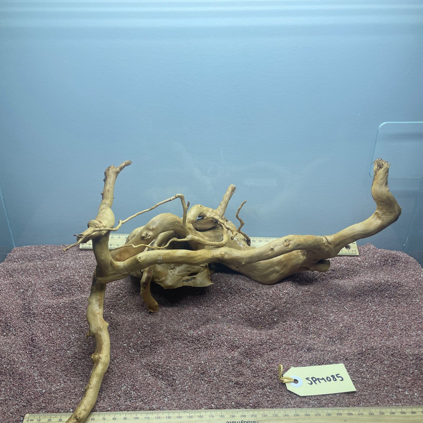 Spiderwood (Medium)