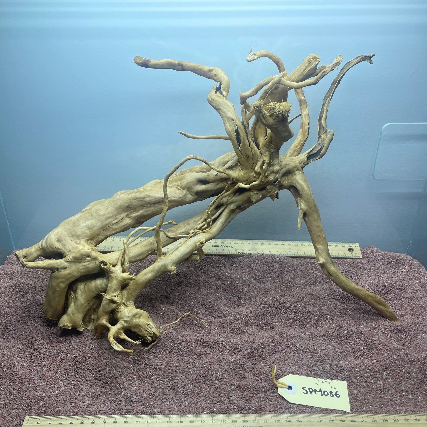 Spiderwood (Medium)