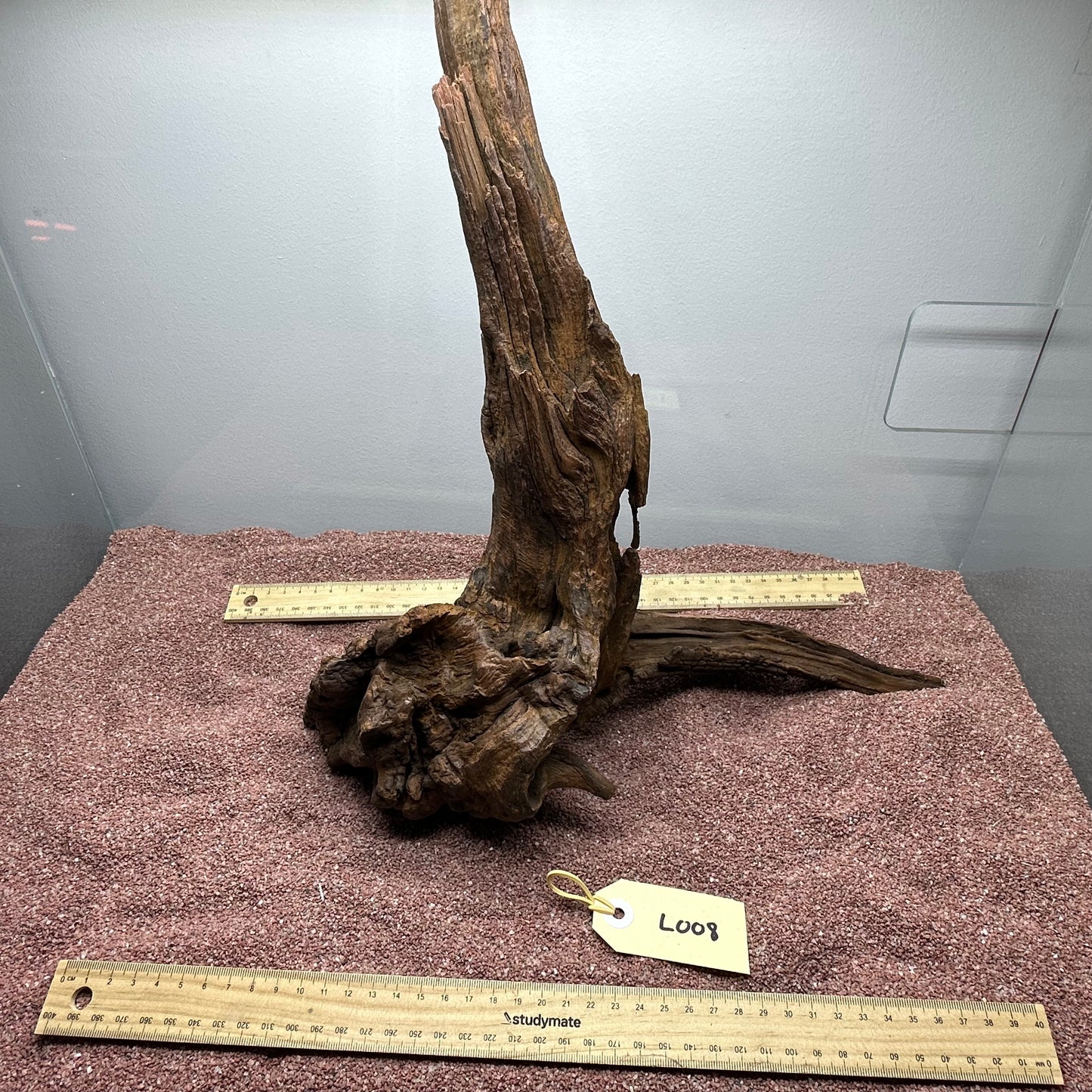 Driftwood (Large)