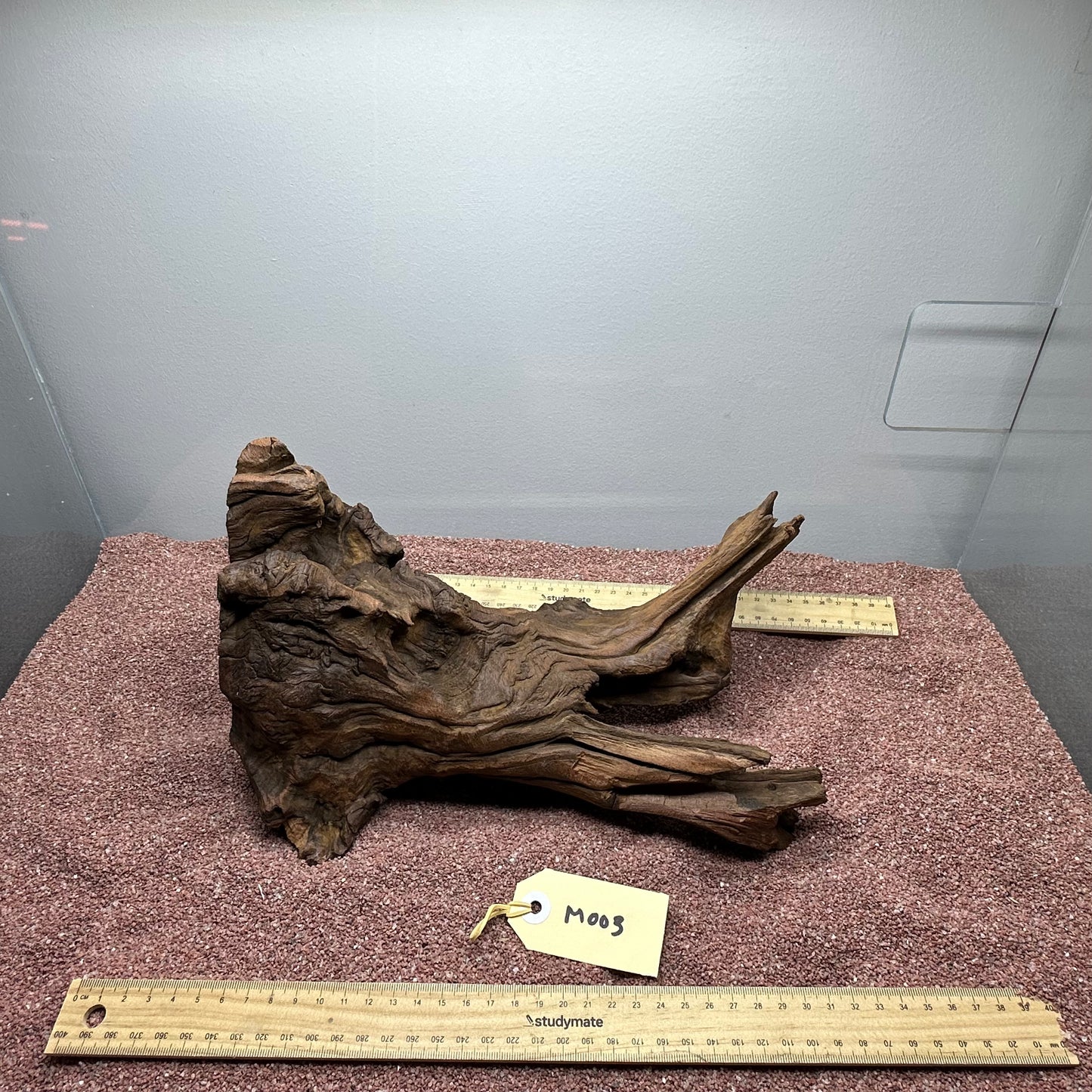Driftwood (Medium)