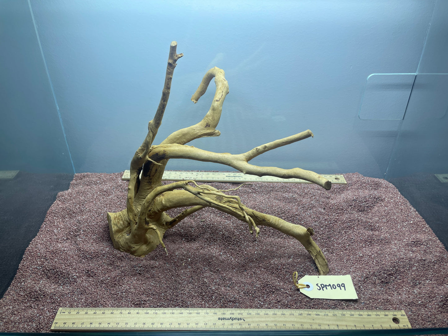 Spiderwood (Medium)