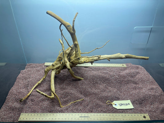 Spiderwood (Medium)