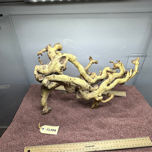 Coral Wood (Large)