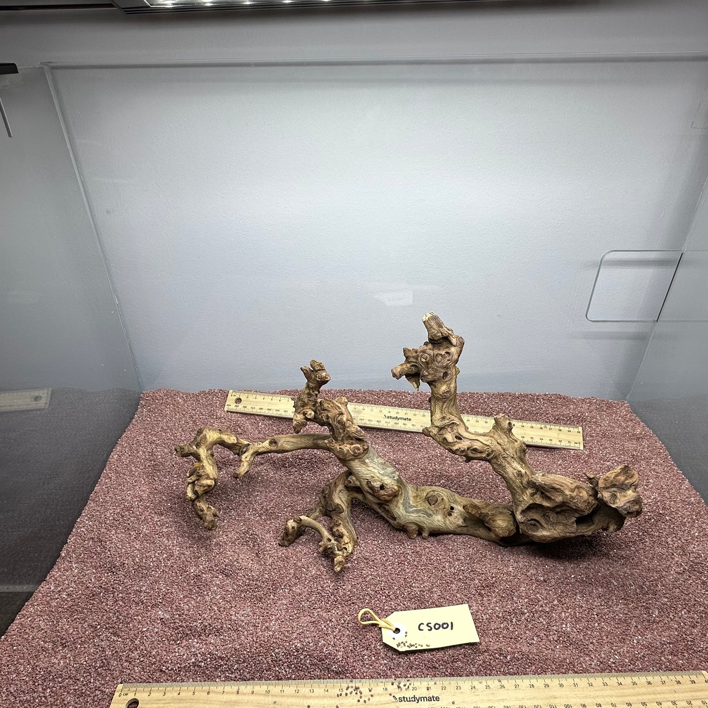 Coral Wood (Small)