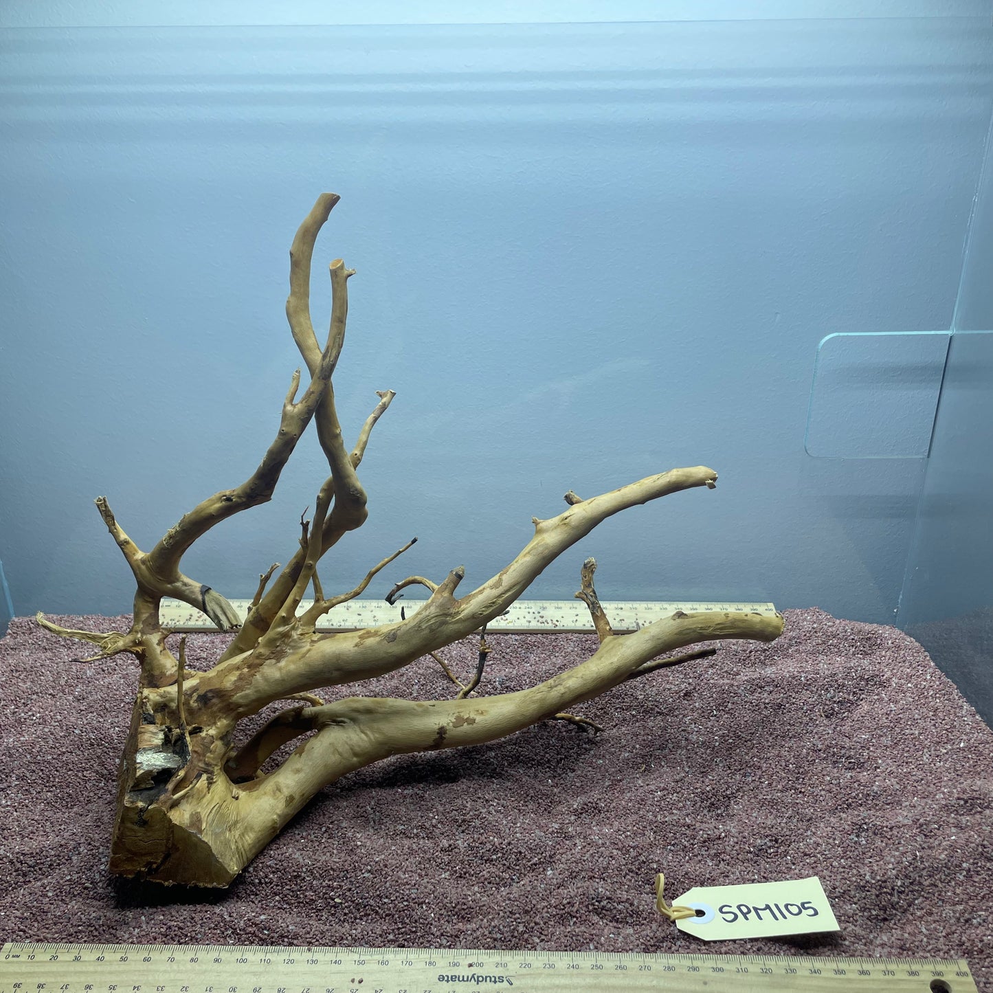 Spiderwood (Medium)