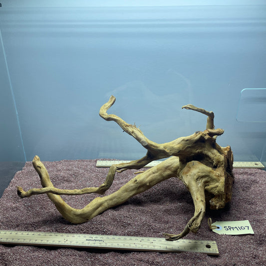 Spiderwood (Medium)
