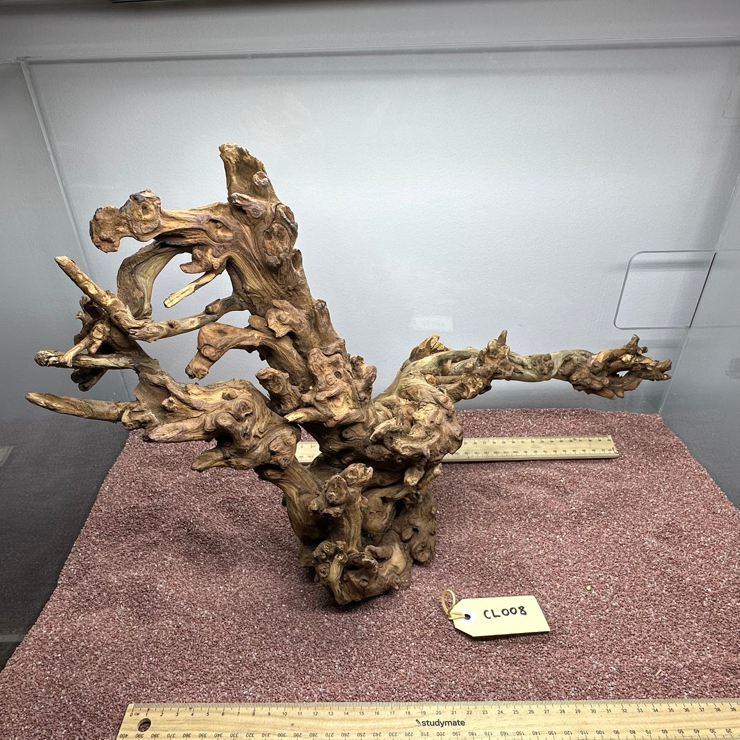 Coral Wood (Large)
