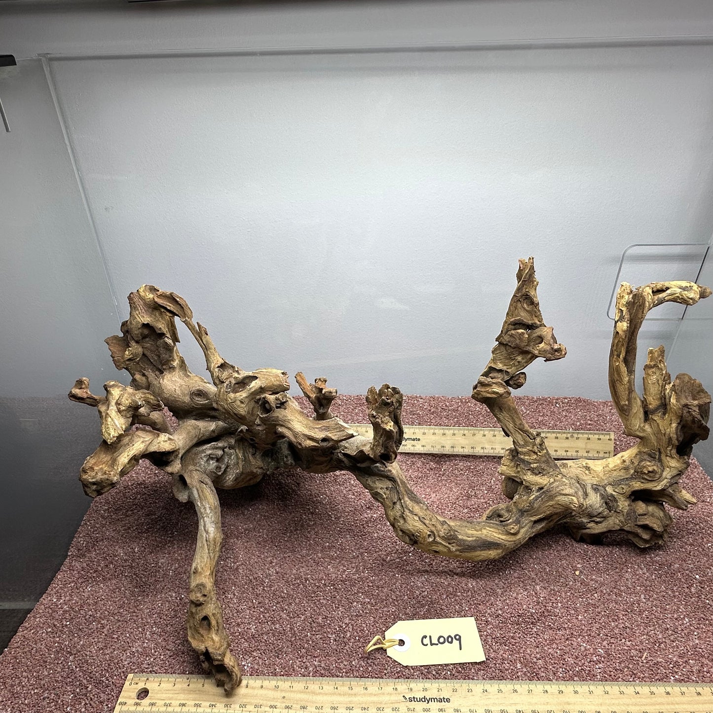Coral Wood (Large)