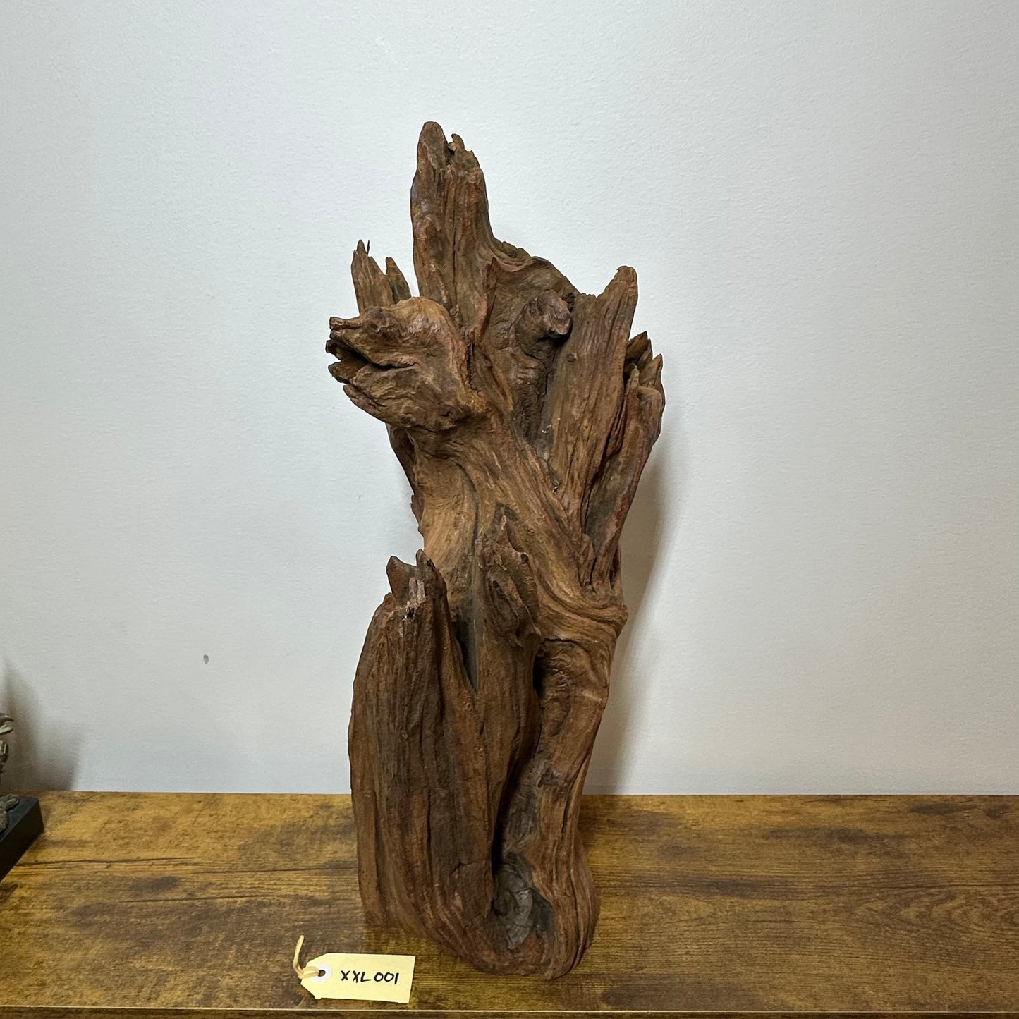 Driftwood (XX Large)