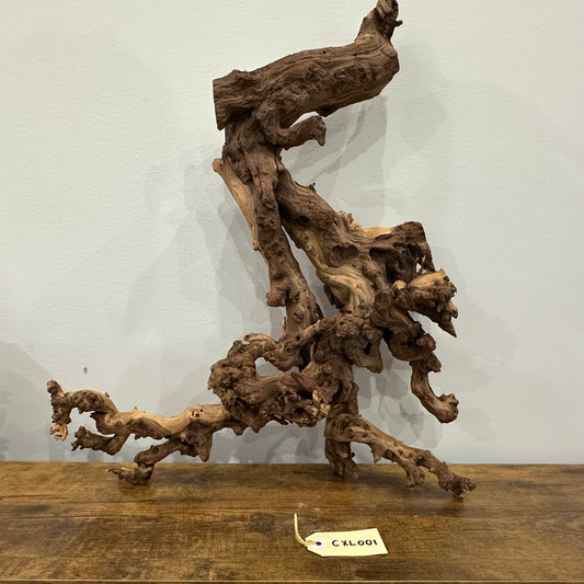 Coral Wood (X Large)
