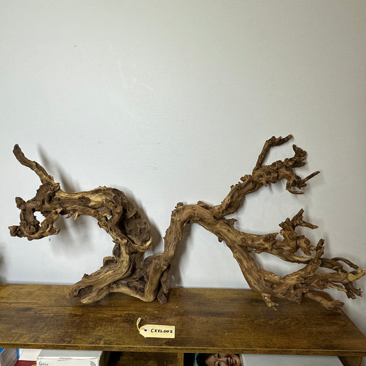 Coral Wood (XX Large)